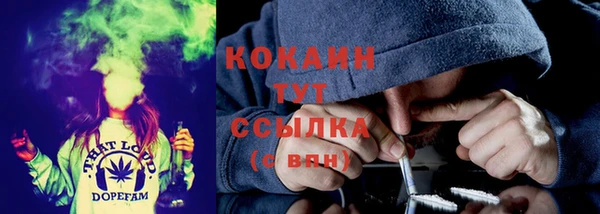 каннабис Аркадак