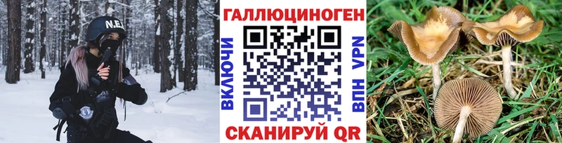 Псилоцибиновые грибы прущие грибы  Чайковский 
