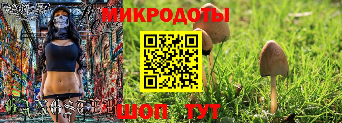 Чайковский  Псилоцибиновые грибы Cubensis  Вход с VPN  Галлюциногенные грибы Psilocybe 