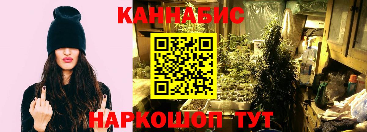 Каннабис план  Бошки марихуана VHQ  Вход с VPN  Чайковский  МАРИХУАНА конопля  Шишки марихуана Ganja 